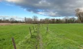 Trail Walking Asse - Zellik 8,5 km - Photo 6