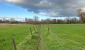 Tour Wandern Asse - Zellik 8,5 km - Photo 6