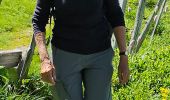 Trail Walking Lavigerie - 2024 RA Cantal Puy Mary - Photo 4
