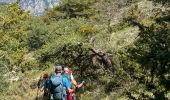 Trail Walking Bézaudun-les-Alpes -  Bezaudun : Mont Estellier - Photo 18