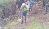 Trail Walking Serriera - Serierra  Ota - Photo 13