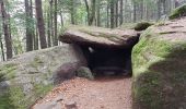 Trail Walking Ottrott - Mont St Odile - Mur Païen - Grotte des Druides - Sentier des Merveilles - Photo 13