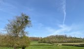 Trail Walking Aix-en-Issart - Sentier du paradis - Photo 9