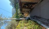 Trail Walking Agerola - “Sentier des Dieux“ CAI327+CAI331 Bomerano-Nocelle-Arienzo-Positano D+450m D-1000m - Photo 6