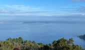 Excursión Senderismo Théoule-sur-Mer - Theoule - Photo 2