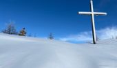 Excursión Raquetas de nieve Belvédère - Baisse de Ferisson 2 - Photo 4