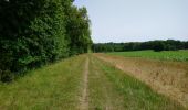 Trail Walking Monts - Monts - la Horaie Circuit avec routes - 16.6km 130m 3h40 - 2022 06 16 - Photo 3