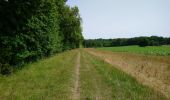 Tocht Stappen Monts - Monts - la Horaie Circuit avec routes - 16.6km 130m 3h40 - 2022 06 16 - Photo 3