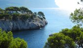 Tocht Stappen Cassis -  3 Calanques 8/01/25 - Photo 4