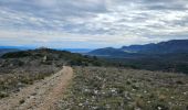 Excursión Senderismo Tourves - Chapelle Saint Probace-Caramy - Photo 10