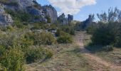 Trail Walking Millau - la jasse et la blasuiere - Photo 3