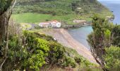 Tour Wandern Horta (Angústias) - Horta, Faial: Monte Queimado et Monte da Guia (PRC 08 FAI) - Photo 6