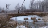 Trail Walking Spa - petit tour de la fagne - berinzenne - Photo 14