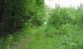 Tour Wandern Rethondes - en forêt de Laigue_4_08_2019_Mont du Fouilleux_Mont des Singes_Marais de Francière - Photo 6