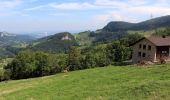 Tocht Te voet Hauenstein-Ifenthal - Challhöchi - Hauenstein - Photo 1