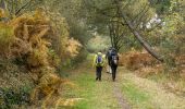 Trail Walking Belz - Tro Belz - Photo 1