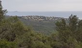 Randonnée Marche Roquebrune-sur-Argens - LES ISSAMBRES - LE VALLON DE LA GAILLARDE - Photo 14