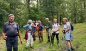 Excursión Senderismo Rochefort - Montgauthier  - Photo 3