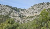 Tocht Stappen Évenos - Cap Gros en partant du col du corps de Garde - Photo 6