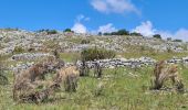 Trail Walking Coursegoules - coursegoules st barnabé  - Photo 15