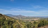 Tour Wandern Cerbère - Cerbère Pyrénées Orientales - Photo 6