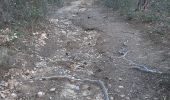 Trail Walking Fuilla - fuilla (66) - Photo 1