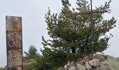 Trail  Castillon - Grammondo 3 - Photo 4