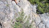 Percorso A piedi Gordes - les gorges de la Véroncle - Photo 11