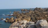 Tour Wandern Penvénan - Port blanc - Pointe du Château  - Photo 4