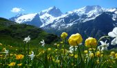 Tour Zu Fuß La Grave - Le Chazelet - Refuge du Pic du Mas de la Grave en boucle - Photo 1