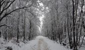 Excursión Senderismo Spa - tour de la fagne de Malchamps entre chiens et loup . dernière rando de cette année 2020 de merde - Photo 4