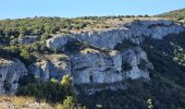 Percorso Marcia Plan-d'Aups-Sainte-Baume - La Tour de Cauvin les dents de la Roque Forcade et la grotte de la Grande Baume - Photo 12