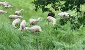 Tour Wandern Val d'Arcomie - Gara it - Photo 1