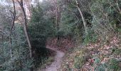 Trail Walking Les Mées - les pénitents et leur forêt domaniale - Photo 10
