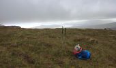 Tocht Stappen West Cork - Hungry Hill - Photo 12