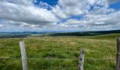 Tour Wandern Orcival - Lac de Servières à partir du Café du Lac - Photo 2