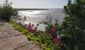 Tocht Stappen Le Mont-Saint-Michel - Le Mont St Michel,  Herbus, Sables, et Barrage de La Caserne. - Photo 2