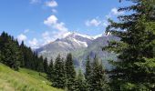 Randonnée Marche Hauteluce - COL DE LA FENETRE DEPUIS LE COL DE jOLY - Photo 11