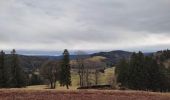 Tour Wandern Basse-sur-le-Rupt - circuit menufosse pierre des 4 Communes chalet des charmes - Photo 10