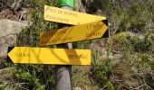 Tocht Stappen Prévenchères -  Gorges de Chassezac - Photo 15