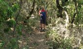 Randonnée Marche Le Garn - Tarn ardeche - Photo 14