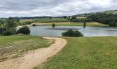 Tocht Stappen Mornant - Mornant-Lac de la Madone à St Sorlin - Photo 5