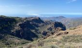Trail Walking Tejeda - Pico de las Nieves (Gran Canaria) - Photo 10