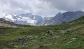 Trail Walking Pralognan-la-Vanoise - traversée des Fontanettes aux Prioux par le col du Grand marchet - Photo 2