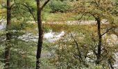 Tour Wandern Bouillon - Dohan 12km 2020  - Photo 4