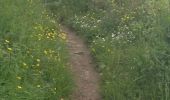 Trail Walking Saint-Jacut-de-la-Mer - GR_34_BC_09_St-Jacut-De-La-Mer_St-Cast-Le-Guildo_20230506 - Photo 20