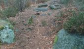 Randonnée Marche Fontainebleau - butte à guay  - Photo 6