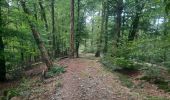 Trail Walking Herbeumont - les crêtes  - Photo 12