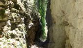 Tocht Stappen Plan-de-Baix - Canyon des Gueulards - Plateau du Vellan  - Photo 15