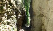 Randonnée Marche Plan-de-Baix - Canyon des Gueulards - Plateau du Vellan  - Photo 15